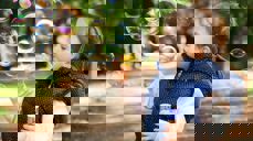 Illustrasjonsfoto: Pixabay