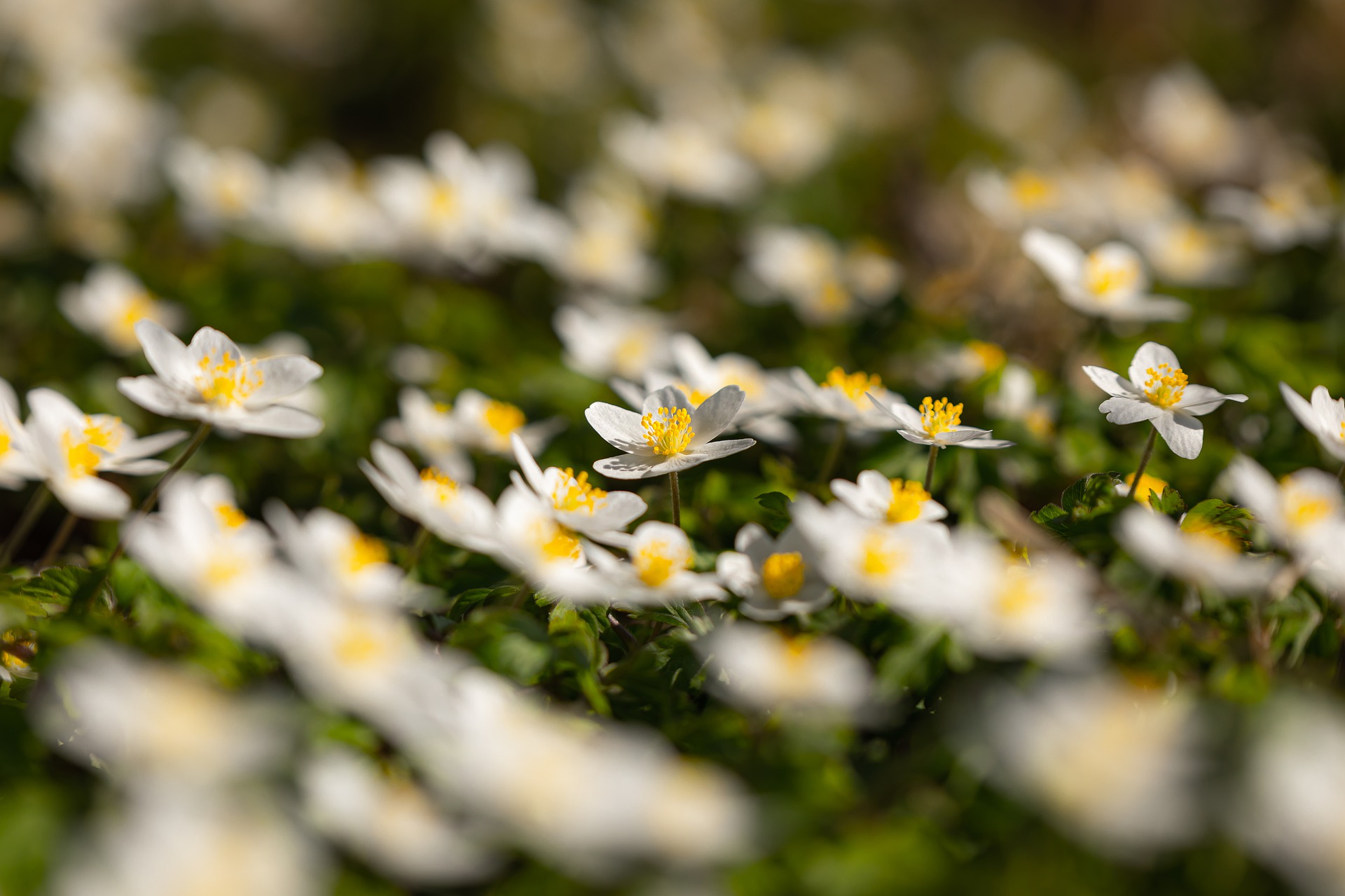 Illustrasjonsfoto: Pixabay