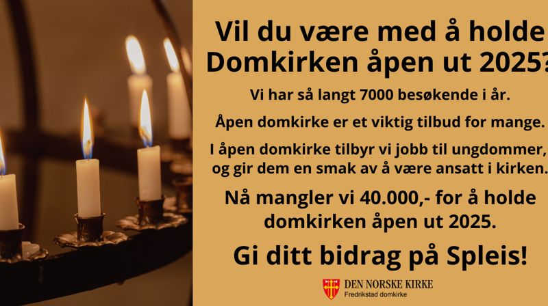 Vil du være med å holde Fredrikstad domkirke åpen?