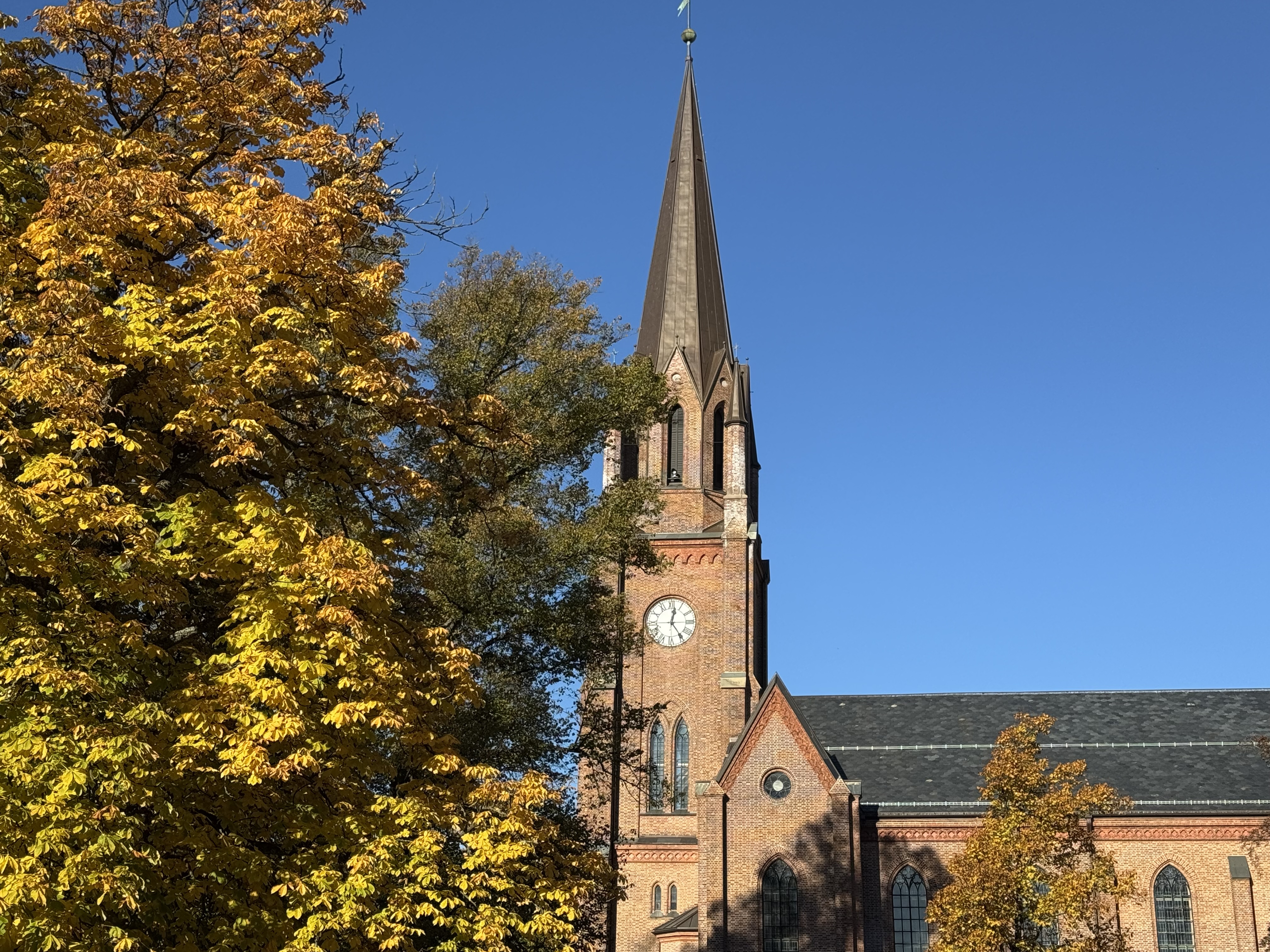 Domkirken i uke 43