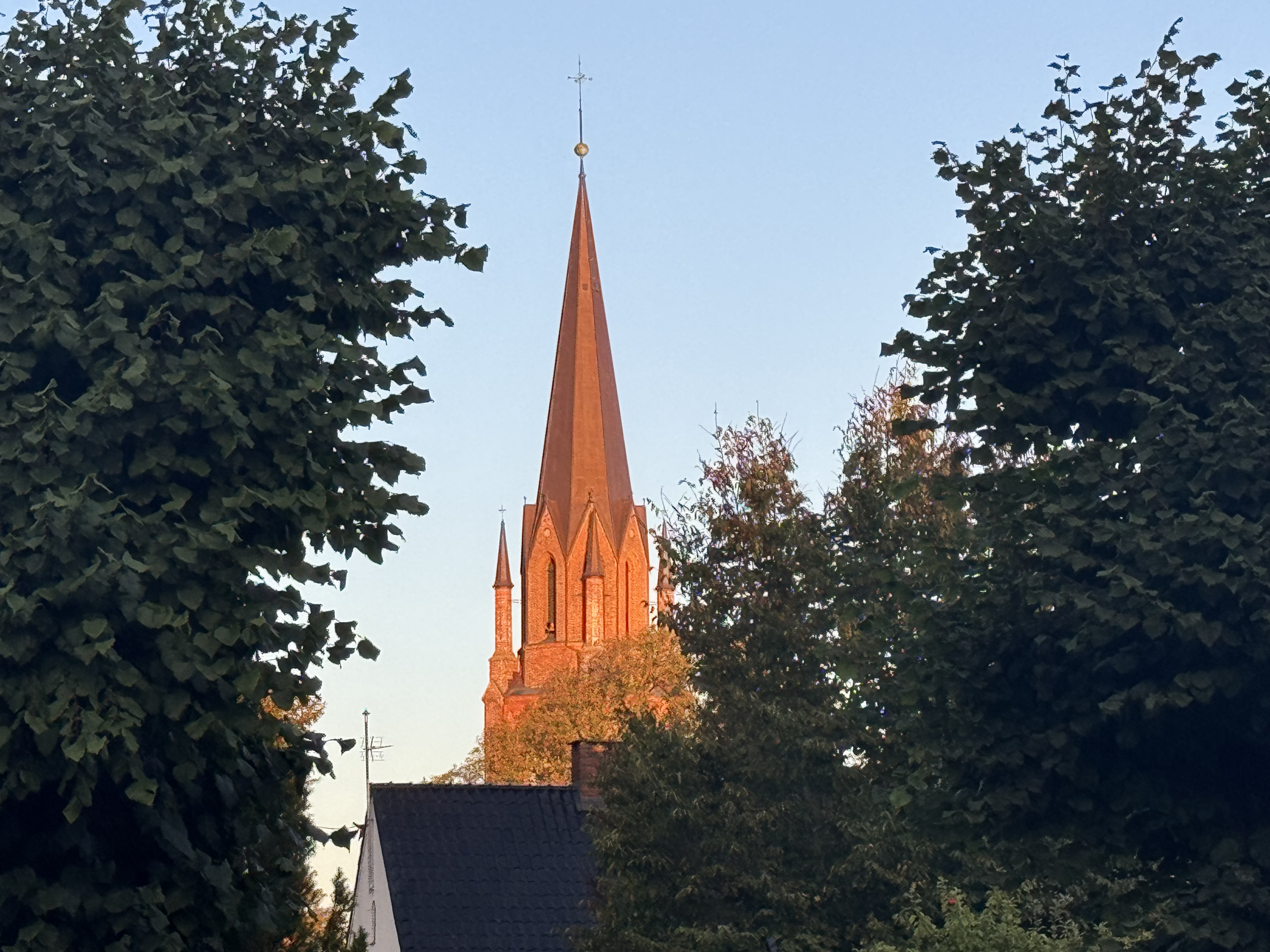 Domkirken i uke 42