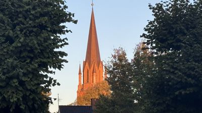 Domkirken i uke 42