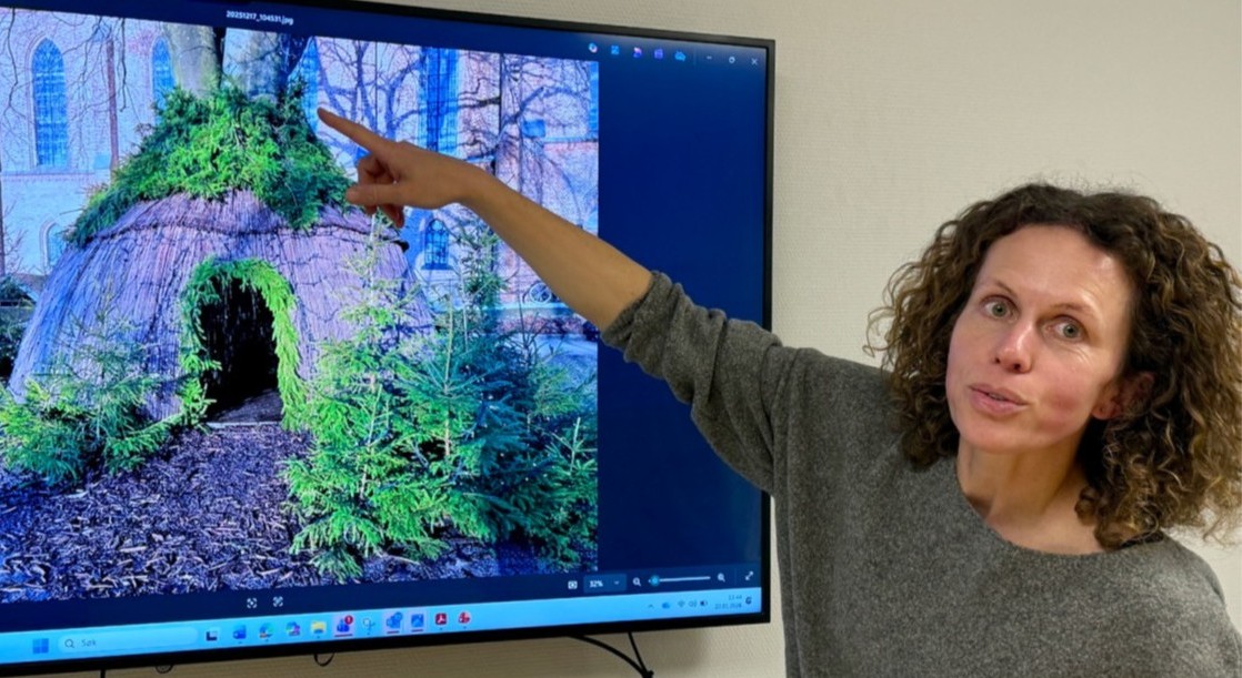 GJENBRUK: – Vi hentet fram jernskjellettet fra pilhytta i Bibliotekparken da vi i høst planla å bygge hytte rundt dette treet ved Domkirken, forklarer grøntforvalter Magdalena Chlosta. Foto: Erling Omvik