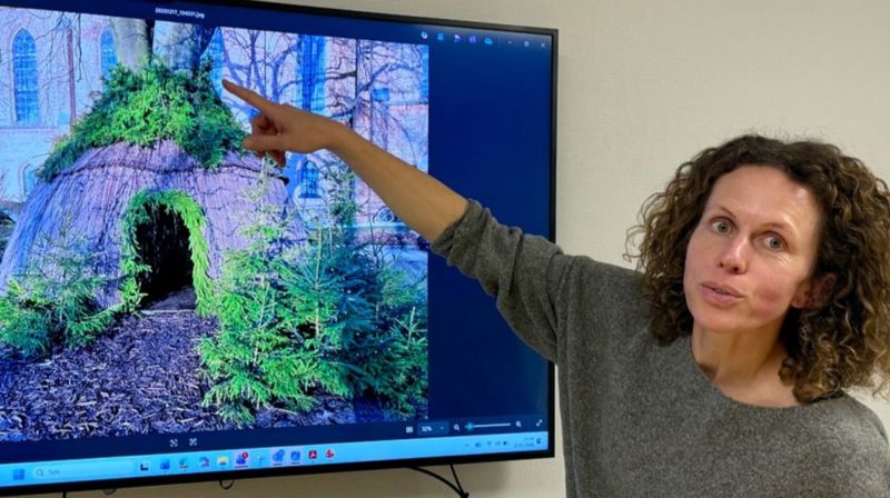 GJENBRUK: – Vi hentet fram jernskjellettet fra pilhytta i Bibliotekparken da vi i høst planla å bygge hytte rundt dette treet ved Domkirken, forklarer grøntforvalter Magdalena Chlosta. Foto: Erling Omvik
