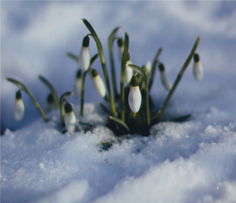 Gamle Glemmen menighetsblad