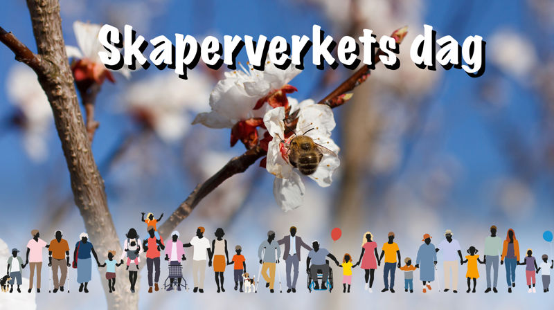 Skaperverkets dag