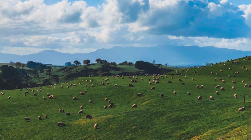 Ukehilsen fra prestene