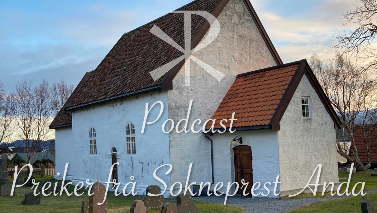 Preiker frå sokneprest Anda