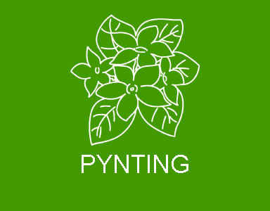 Pynting i kyrkja