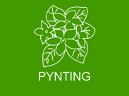Pynting i kyrkja