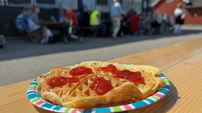 Fredagsvaffel