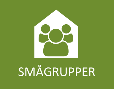 Smågrupper og husfellesskap