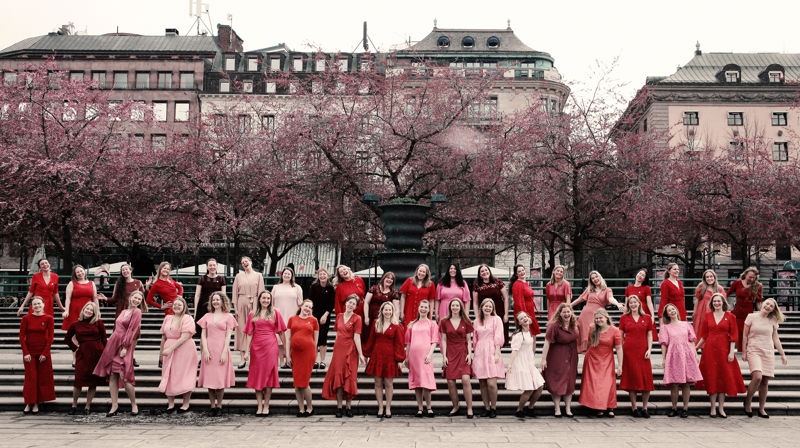 Allehelgenskonsert med KSS i Gjøvik kirke 03.11.2024 kl 16.00
