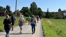 Pilegrimsvandring fra St. Petri over til Granavollen. Foto: Jane Dahl Sogn 2023.