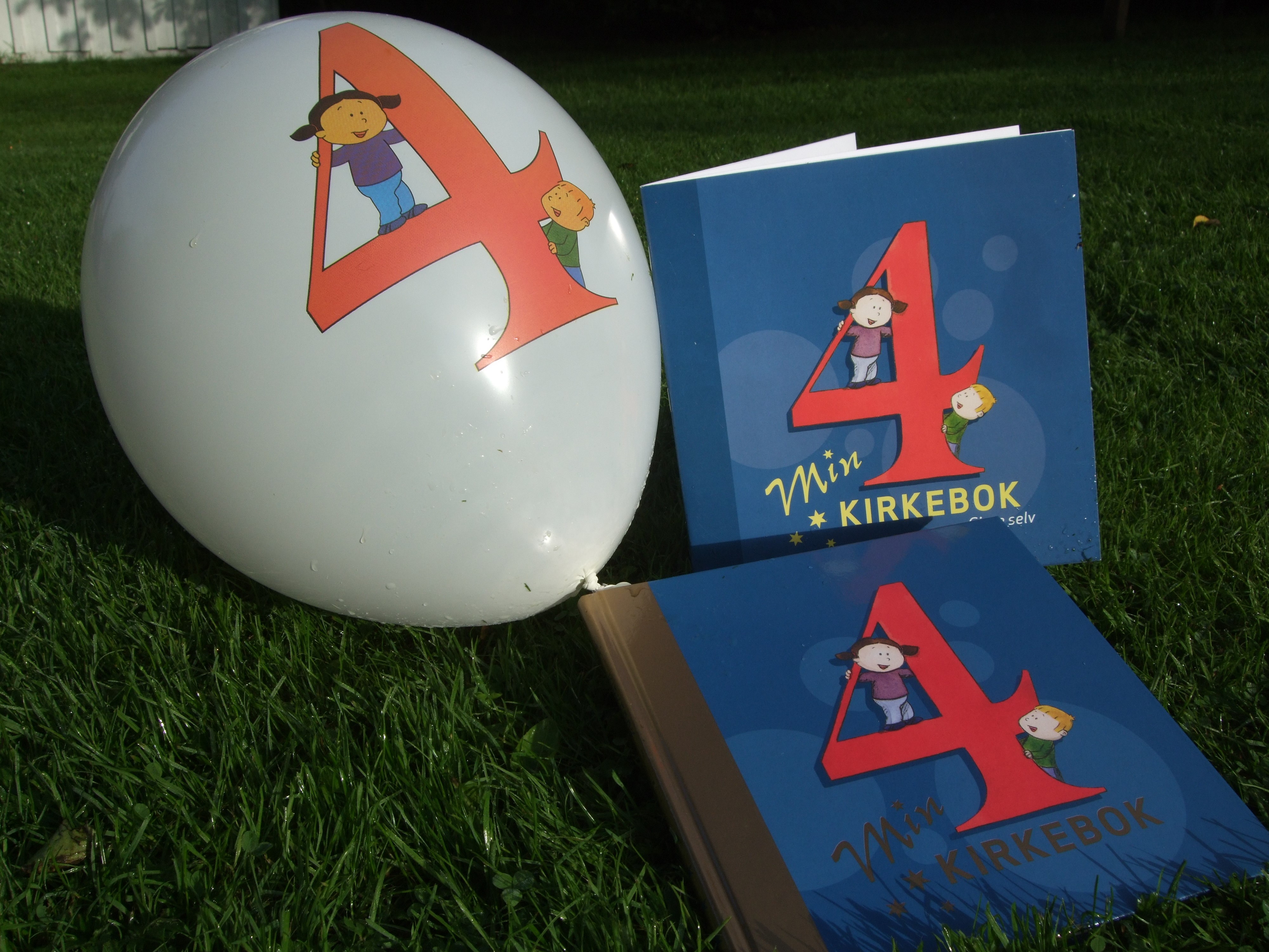 4-årsbok (4 år)