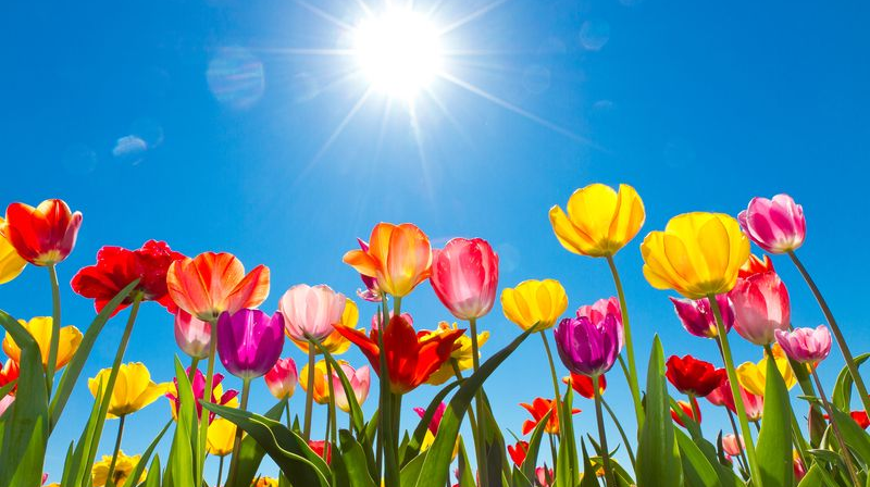 Åpningstider sommeren 2020