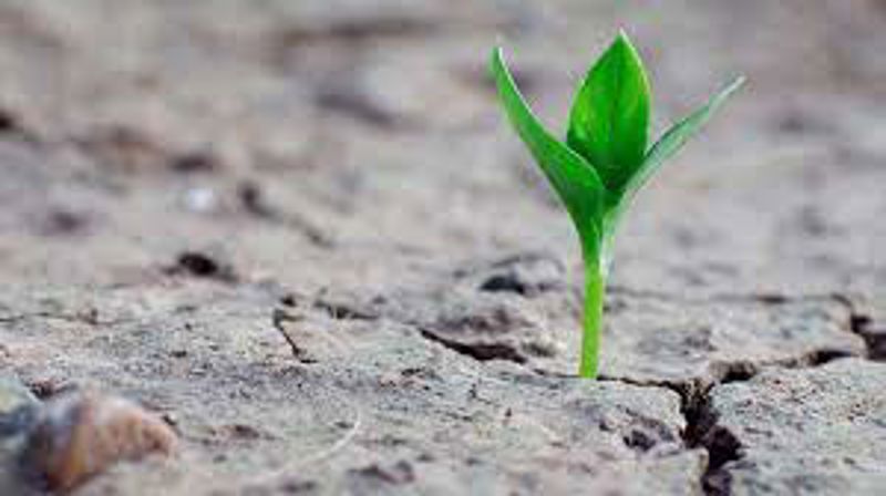 Faste TIL noe bedre!