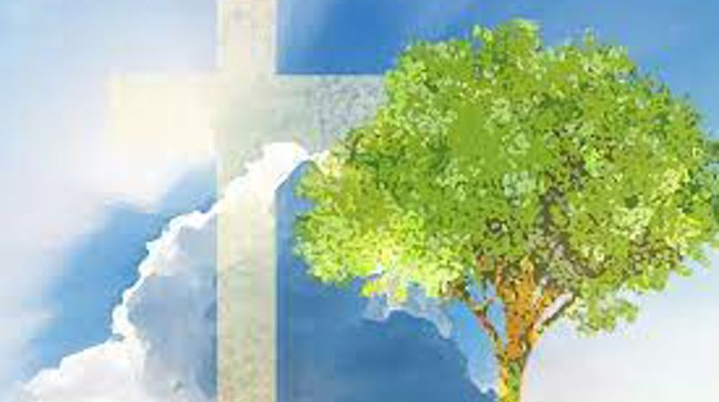 Å komme tilbake til virkeligheten med et brak!