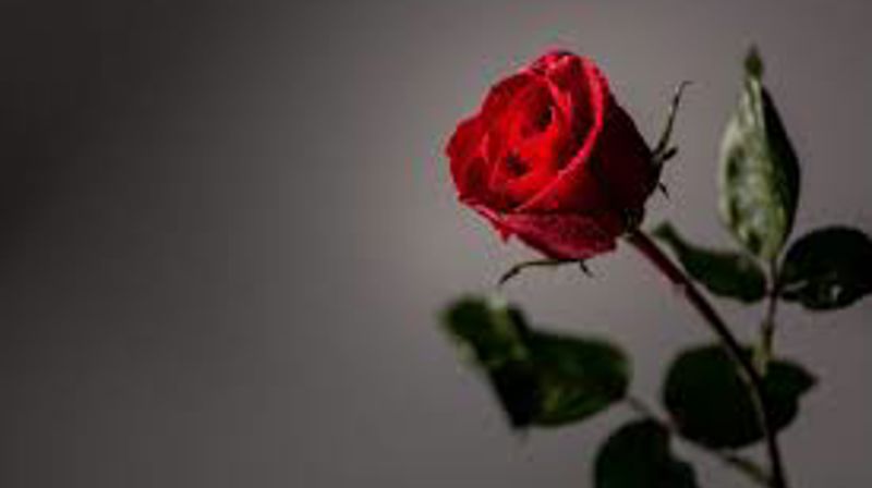 Mellom 17.mai og pinse