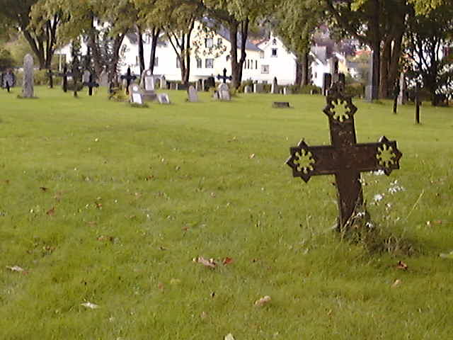 Trefelling på kyrkjegarden