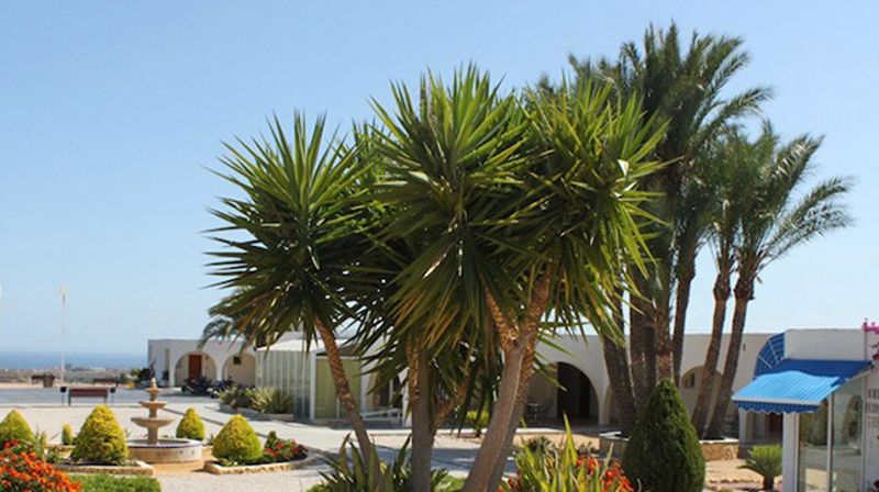 Til Solgården med Kirkens inkluderingsarbeid