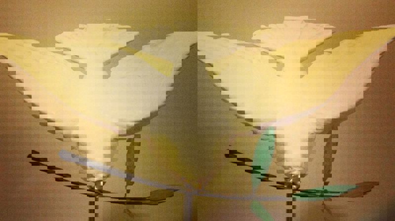 Messe for Gud og hvermann