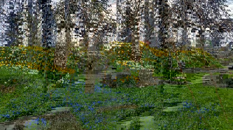 Vakkert på Christine Elisabeths gravlund