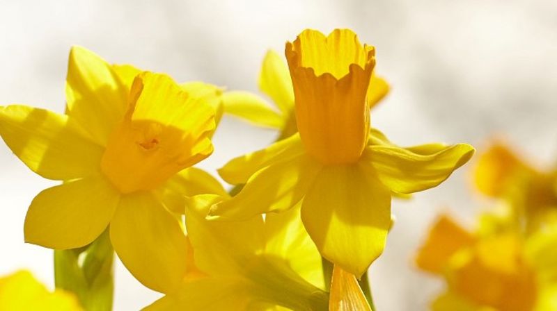 Kveldsmatgudstjeneste i Hemne kirke, skjærtorsdag