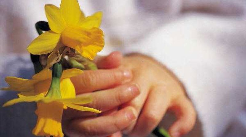 Menighetsmøte (årsmøte i Halsa)