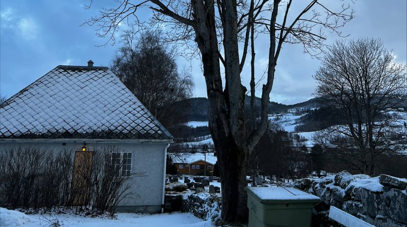 Tre ved Hemne kirke måtte fjernes etter stormen "Ingunn"