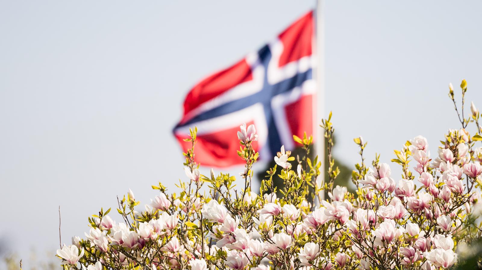 Det norske flagg. Foto: Helene Moe Slinning.