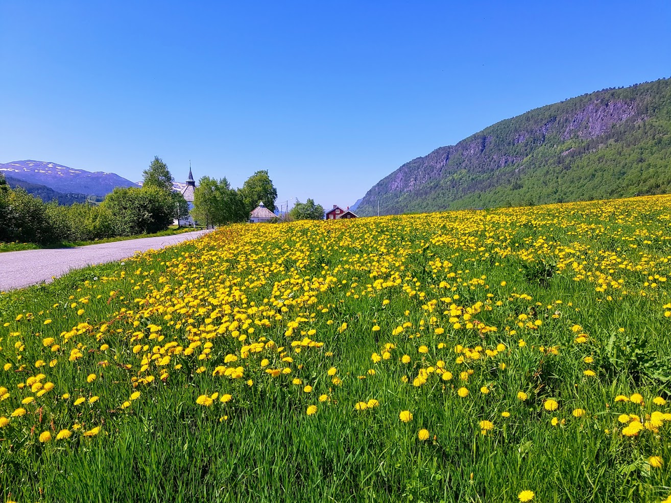 Foto: Stig Ottar Jensen