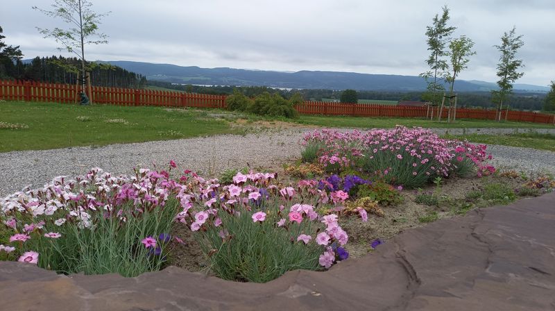 Stauder til kirkegården?