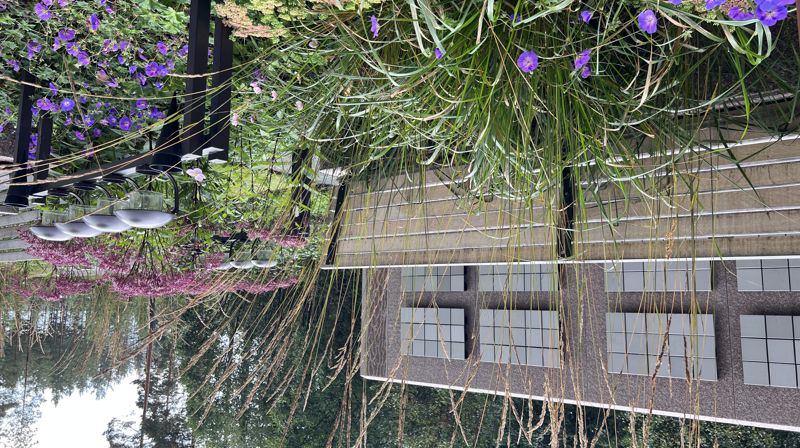 Høring: reviderte graplassvedtekter