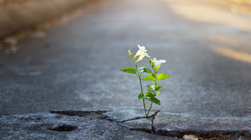 Alle arrangementer avlyst til over påske