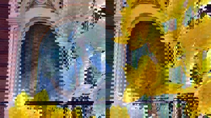 Påsken i kirkene våre