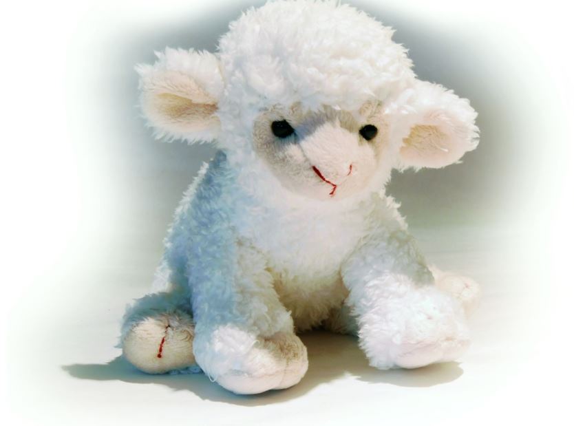 Familiegudstjeneste med Krølle