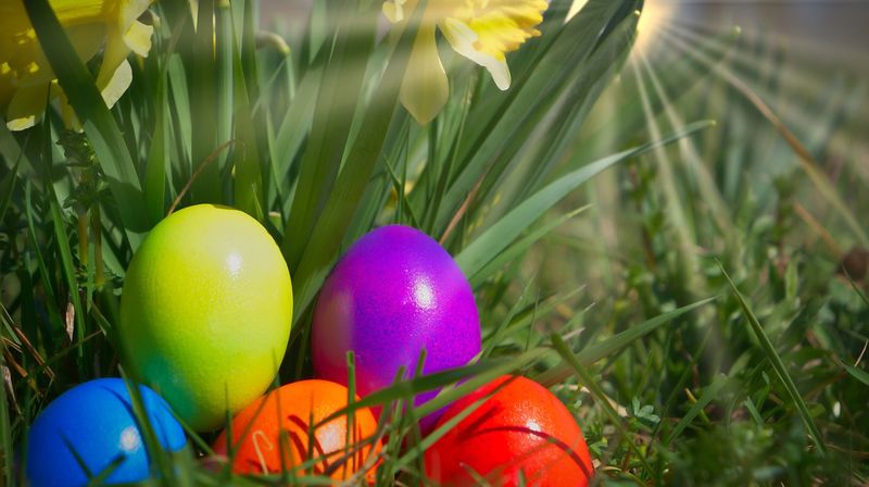 Påskeverksted (5 år)