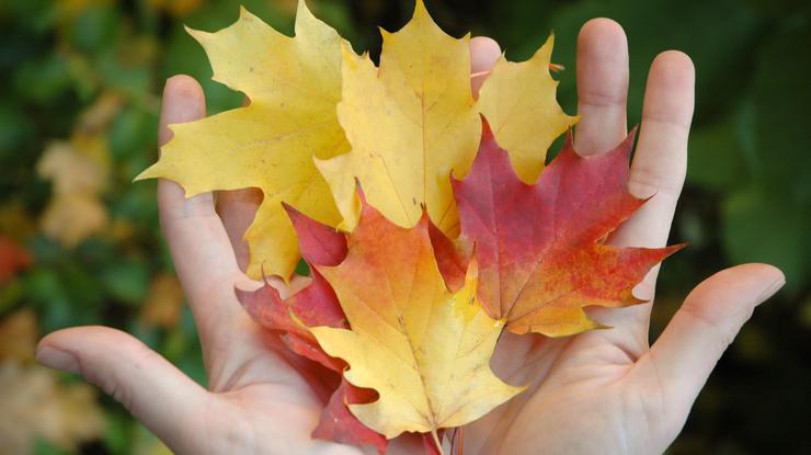 Høstbilde. Foto: Den norske kirke/Helene Moe Slinning