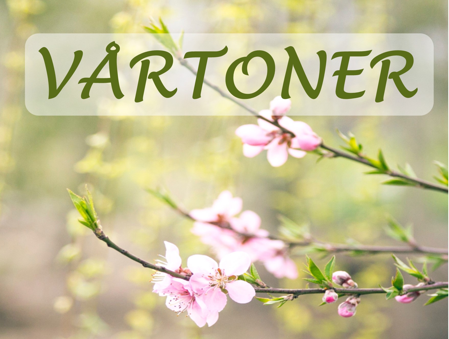 Stemningsfulle og sprelske vårtoner