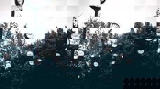 Foto: © Pexels-Pixabay