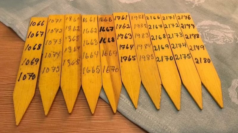 Det blir blant annet årelotteri.