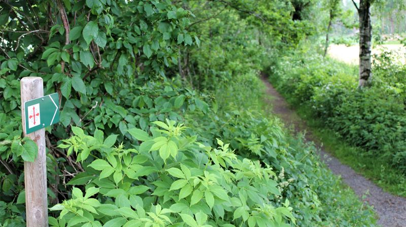 Pilegrimsvandring Kristi himmelfartsdag