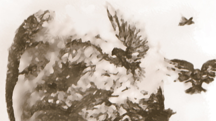 Sinnsrogudstjenester våren 2026