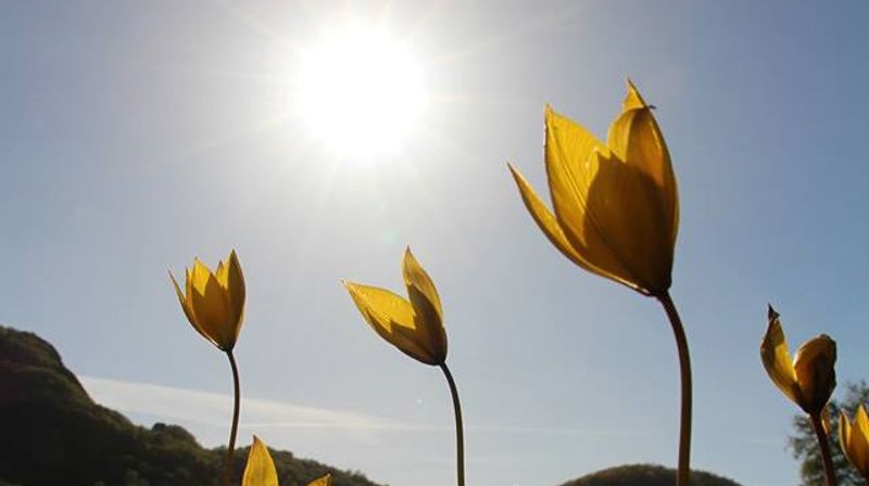 Innkalling Menighetsmøte og årsmøte i Tranby og Lierskogen sokn.