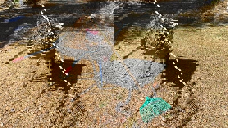 Dugnad på kirkegårdene