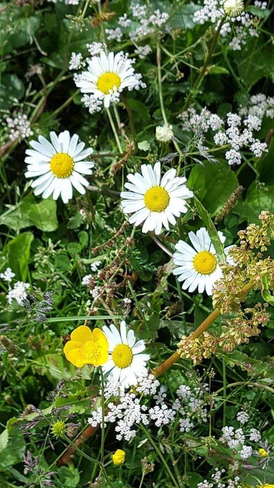 Foto: Berit Movik Lo