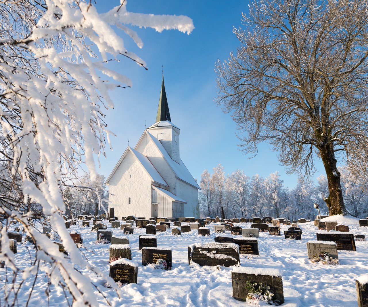 Foto: Anders Henriksen