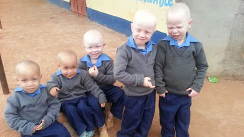 Skjernøya misjonsprosjekt