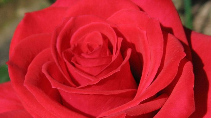 Tanker på 22. juli - 9 år etter